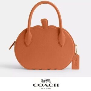 NWT Coach pumpkin bag CU868